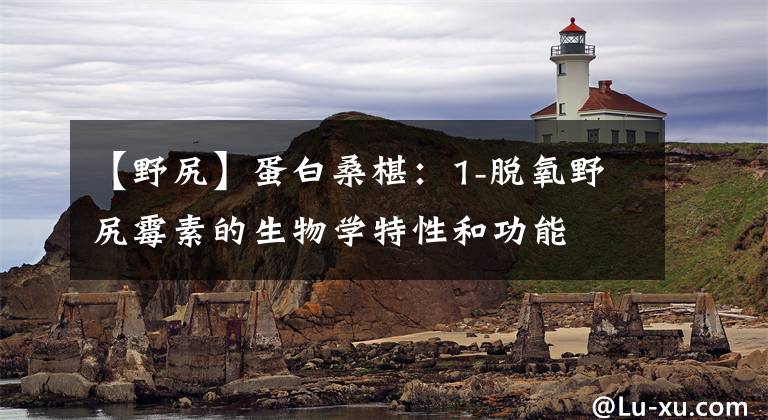 【野尻】蛋白桑椹:1-脱氧野尻霉素的生物学特性和功能