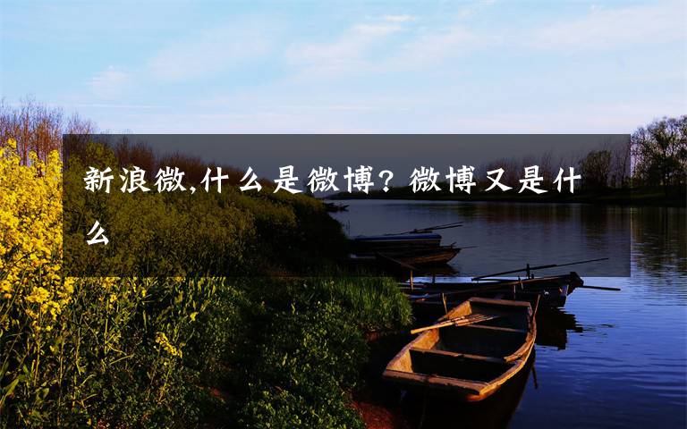 新浪微,什么是微博? 微博又是什么