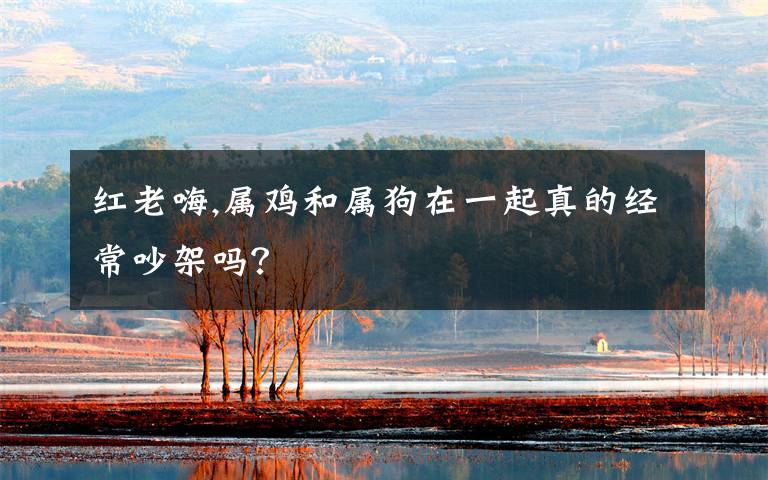 红老嗨,属鸡和属狗在一起真的经常吵架吗？
