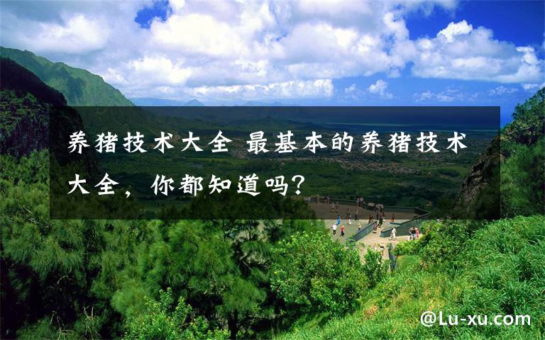 养猪技术大全 最基本的养猪技术大全,你都知道吗?