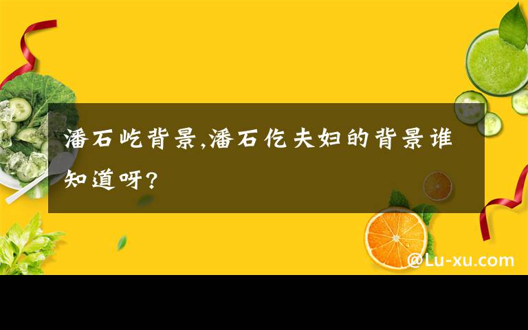 潘石屹背景,潘石仡夫妇的背景谁知道呀?
