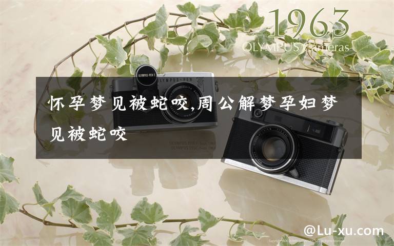 怀孕梦见被蛇咬,周公解梦孕妇梦见被蛇咬