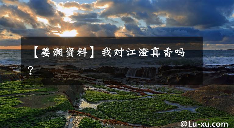 【姜潮资料】我对江澄真香吗？