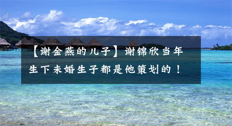 【谢金燕的儿子】谢锦欣当年生下未婚生子都是他策划的!现在正遭受“人格毁灭”!