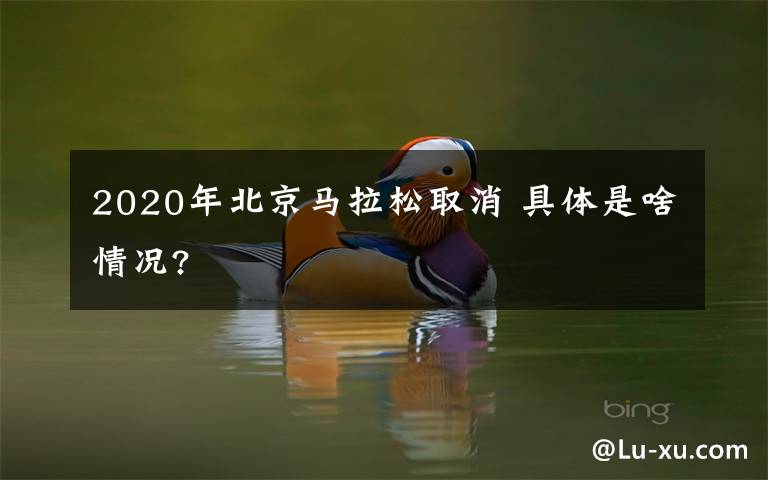 2020年北京马拉松取消 具体是啥情况?