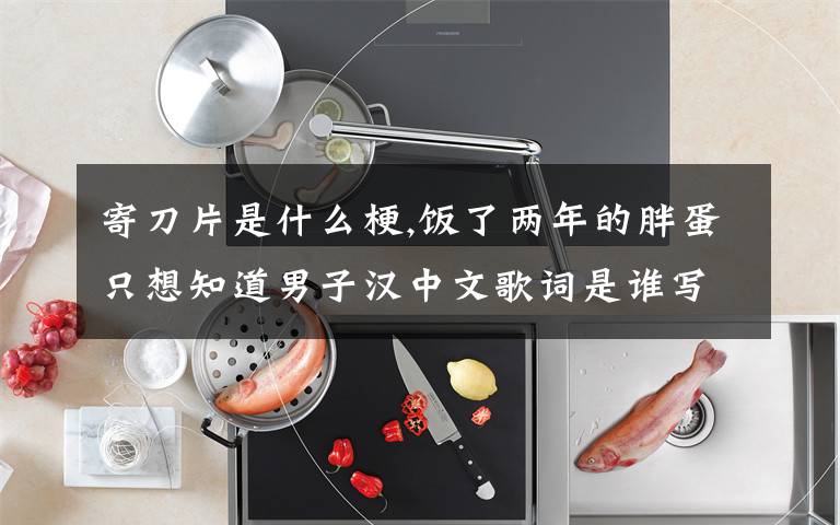 寄刀片是什么梗,饭了两年的胖蛋只想知道男子汉中文歌词是谁写的，我要寄刀片！