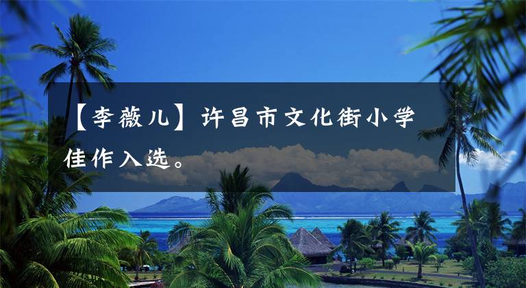 【李薇儿】许昌市文化街小学佳作入选。