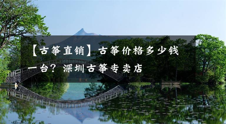 【古筝直销】古筝价格多少钱一台？深圳古筝专卖店