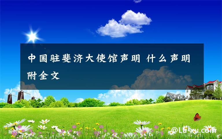 中国驻斐济大使馆声明 什么声明附全文