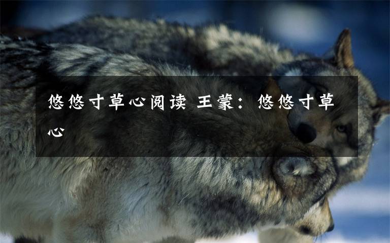 悠悠寸草心阅读 王蒙:悠悠寸草心
