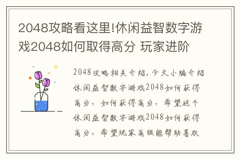 2048攻略看这里!休闲益智数字游戏2048如何取得高分 玩家进阶