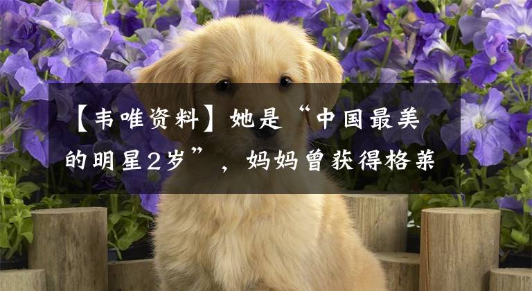 【韦唯资料】她是“中国最美的明星2岁”,妈妈曾获得格莱美,现在整容了,有四对脸。