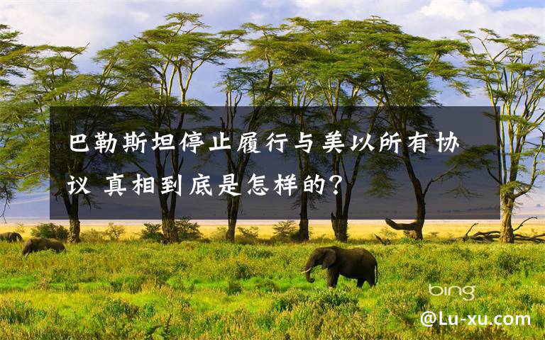 巴勒斯坦停止履行与美以所有协议 真相到底是怎样的?