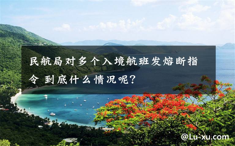 民航局对多个入境航班发熔断指令 到底什么情况呢?