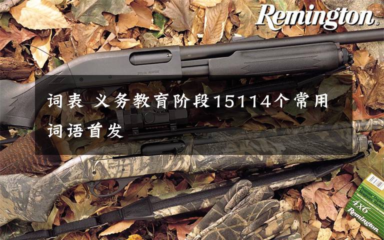 词表 义务教育阶段15114个常用词语首发