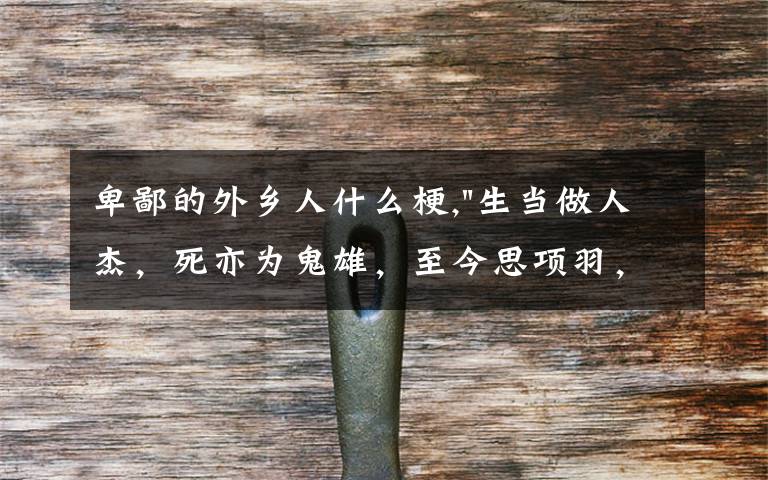 卑鄙的外乡人什么梗,