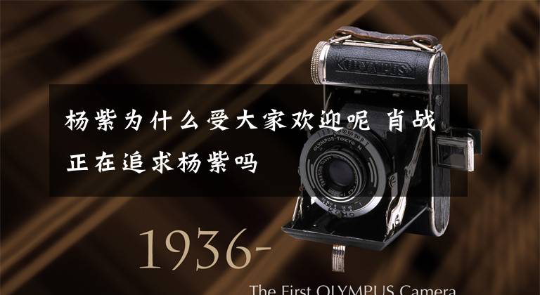 杨紫为什么受大家欢迎呢 肖战正在追求杨紫吗