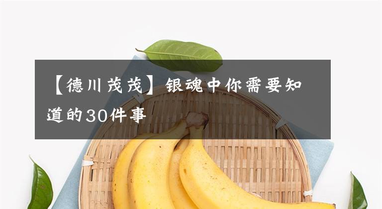 【德川茂茂】银魂中你需要知道的30件事