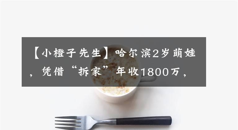【小橙子先生】哈尔滨2岁萌娃，凭借“拆家”年收1800万，实现爸妈暴富