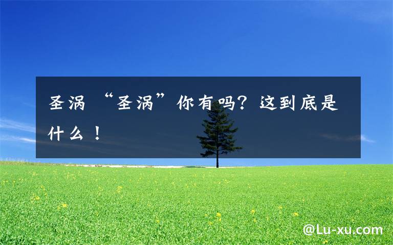 圣涡 “圣涡”你有吗？这到底是什么！