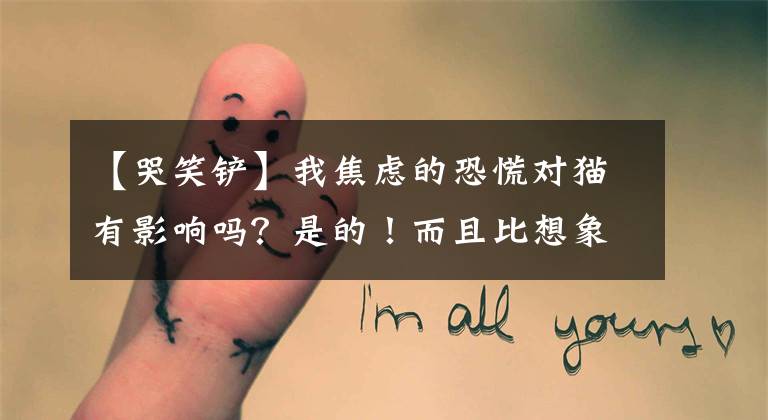 【哭笑铲】我焦虑的恐慌对猫有影响吗？是的！而且比想象的要严重。