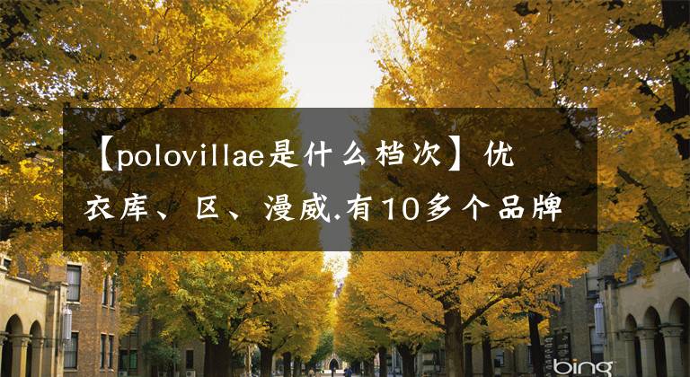 【polovillae是什么档次】优衣库、区、漫威.有10多个品牌,618可以剁碎到最中意的男装。