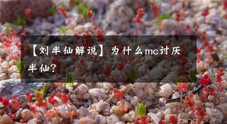 【刘半仙解说】为什么mc讨厌半仙？