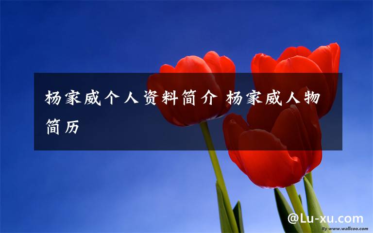 杨家威个人资料简介 杨家威人物简历