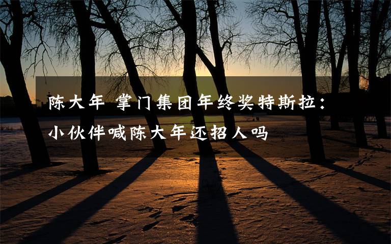 陈大年 掌门集团年终奖特斯拉:小伙伴喊陈大年还招人吗