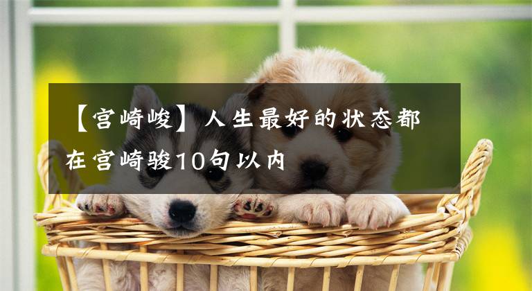 【宫崎峻】人生最好的状态都在宫崎骏10句以内