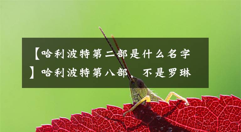 【哈利波特第二部是什么名字】哈利波特第八部，不是罗琳写的，获得了最佳小说奖