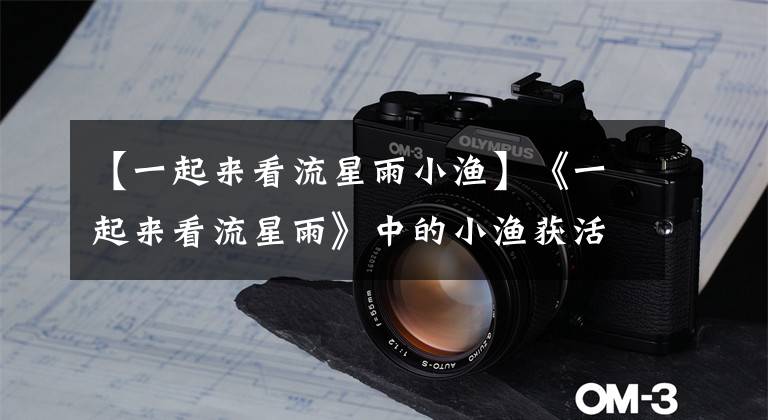 【一起来看流星雨小渔】《一起来看流星雨》中的小渔获活泼可爱。现实的真实情况你还知道吗？