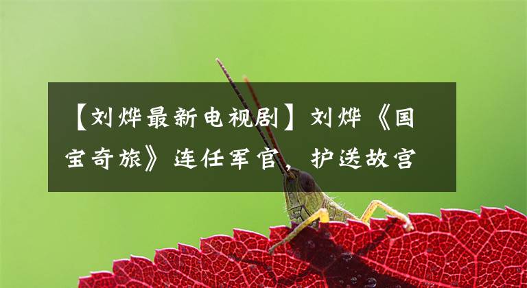 【刘烨最新电视剧】刘烨《国宝奇旅》连任军官,护送故宫文物南川