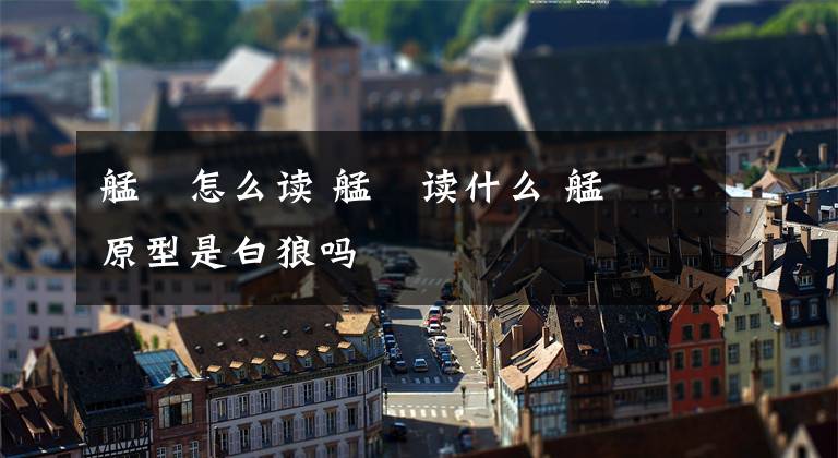 艋舺怎么读 艋舺读什么 艋舺原型是白狼吗