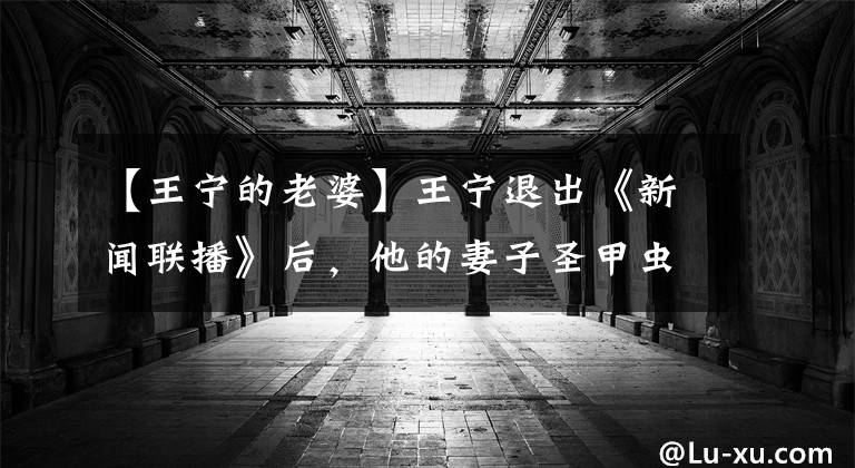 【王宁的老婆】王宁退出《新闻联播》后,他的妻子圣甲虫说了这样的话!