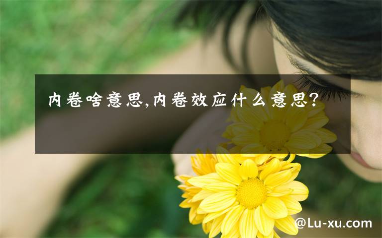 内卷啥意思,内卷效应什么意思？