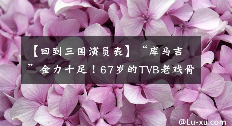 【回到三国演员表】“库马吉”金力十足!67岁的TVB老戏骨回到内地,登上舞台,人气大增。