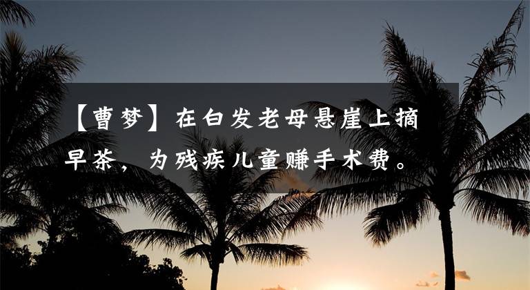 【曹梦】在白发老母悬崖上摘早茶,为残疾儿童赚手术费。我想在死之前看到他站起来。