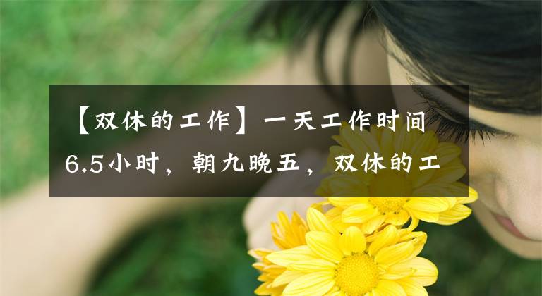【双休的工作】一天工作时间6.5小时，朝九晚五，双休的工作怎么样？