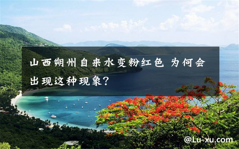 山西朔州自来水变粉红色 为何会出现这种现象?