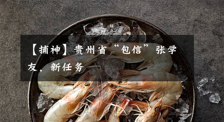 【捕神】贵州省“包信”张学友,新任务