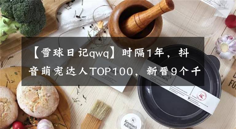 【雪球日记qwq】时隔1年，抖音萌宠达人TOP100，新晋9个千万级KOL