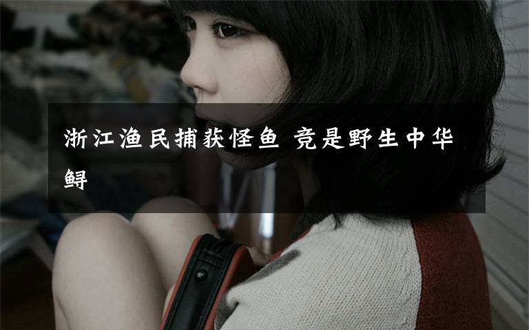 浙江渔民捕获怪鱼 竞是野生中华鲟
