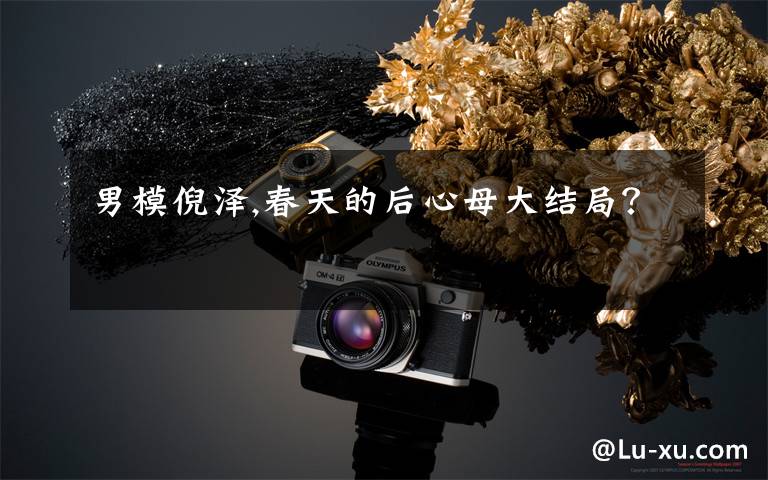 男模倪泽,春天的后心母大结局？