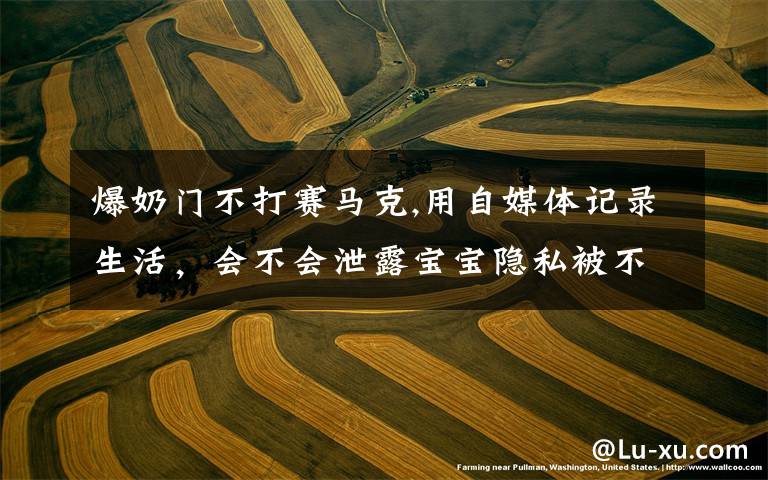 爆奶门不打赛马克,用自媒体记录生活,会不会泄露宝宝隐私被不法分子利用?