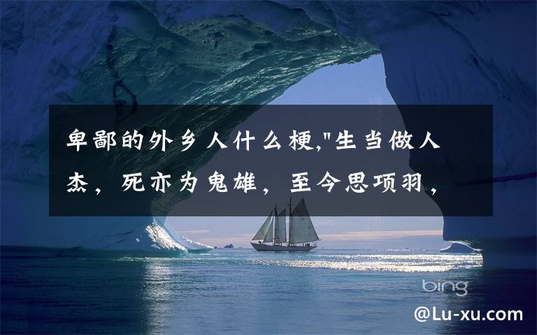 卑鄙的外乡人什么梗,