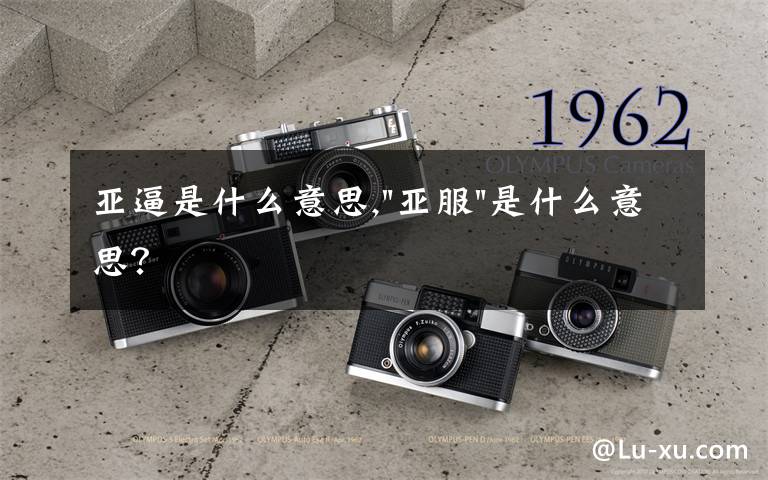 亚逼是什么意思,