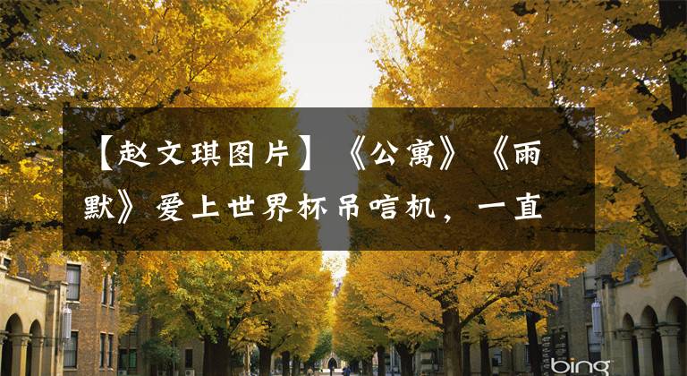 【赵文琪图片】《公寓》《雨默》爱上世界杯吊唁机,一直支撑着德国。