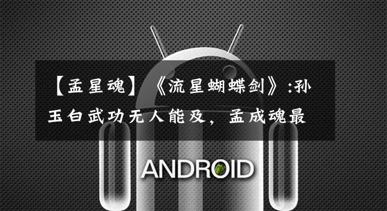 【孟星魂】《流星蝴蝶剑》:孙玉白武功无人能及，孟成魂最终略落后于韩汤。