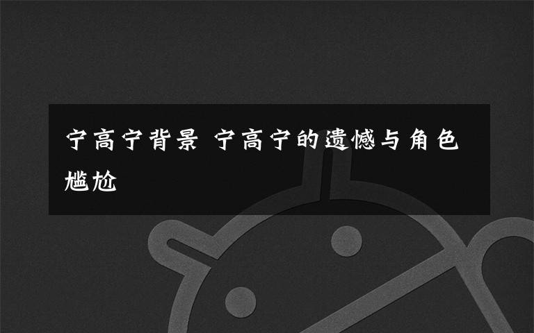 宁高宁背景 宁高宁的遗憾与角色尴尬